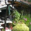 Apartments Cule, Cres (island Cres)